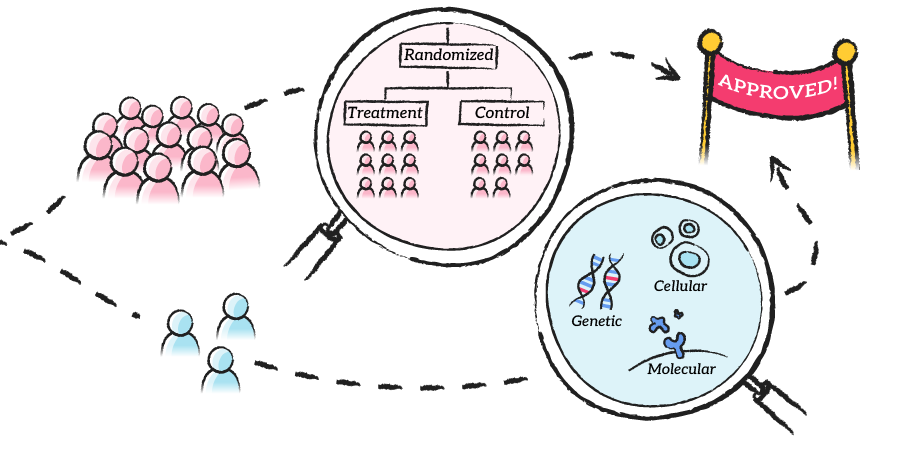 Plausible mechanism framework