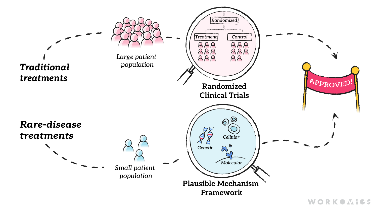 plausible-mechanism-framework-image-path